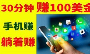 探索多元网赚，打造你的财富新思路(多元化挣钱) - 严选资源大全 - 严选资源大全