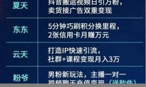 网赚商城项目，零成本开启致富之旅 - 严选资源大全 - 严选资源大全