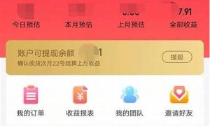 网赚小项目：轻松赚取第一桶金 - 严选资源大全 - 严选资源大全