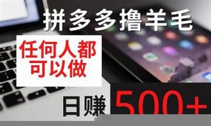 网赚羊毛创业，开启你的财富自由之旅 - 严选资源大全 - 严选资源大全