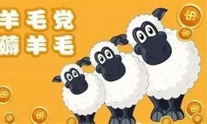 网赚羊毛项目，你不能错过的致富方法(最新薅羊毛赚钱平台) - 严选资源大全 - 严选资源大全