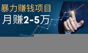 网赚项目，让收入增长不再难 - 严选资源大全 - 严选资源大全