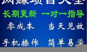 谁有好的网赚项目 - 严选资源大全 - 严选资源大全