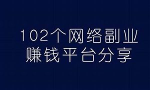 赚外快必看：网赚副业新趋势(赚钱的网络副业) - 严选资源大全 - 严选资源大全
