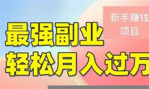 轻松月入过万的网赚项目(月入过万的平台) - 严选资源大全 - 严选资源大全