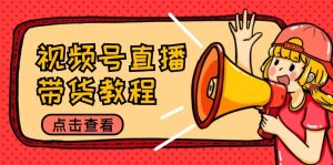 视频号直播带货教程:选品思路与话术拆解/掌握多种带货套路/提升直播效果 - 严选资源大全 - 严选资源大全