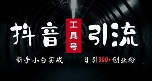 2024最新抖音工具号引流玩法,高效日引300+创业粉,当天变现5k,小白也可成为实战高手 - 严选资源大全 - 严选资源大全
