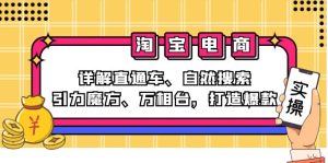 (12814期)2024淘宝电商课程:详解直通车、自然搜索、引力魔方、万相台,打造爆款 - 严选资源大全 - 严选资源大全