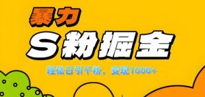 单人单机日引千粉,变现1k+,S粉流量掘金计划攻略【揭秘】 - 严选资源大全 - 严选资源大全