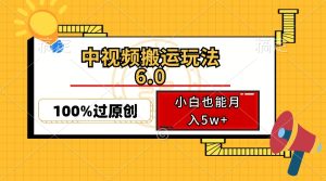 (12838期)中视频搬运玩法6.0,利用软件双重去重,100%过原创,小白也能月入5w+ - 严选资源大全 - 严选资源大全