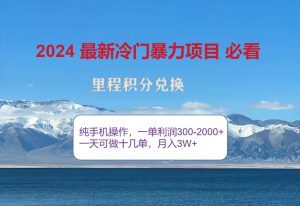 2024惊爆冷门暴利,里程积分最新玩法,高爆发期,一单300+—2000+ - 严选资源大全 - 严选资源大全
