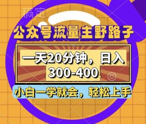 (12866期)公众号流量主野路子玩法,一天20分钟,日入300~400,小白一学就会 - 严选资源大全 - 严选资源大全