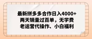 (12869期)拼多多最新合作日入4000+两天销量过百单,无学费、老运营代操作、小白福利 - 严选资源大全 - 严选资源大全