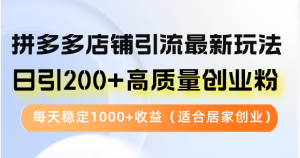 (12893期)拼多多店铺引流最新玩法,日引200+高质量创业粉,每天稳定1000+收益(… - 严选资源大全 - 严选资源大全