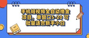 (12898期)手机短视频掘金项目,单窗口单平台5-20 可批量适合新手小白 - 严选资源大全 - 严选资源大全