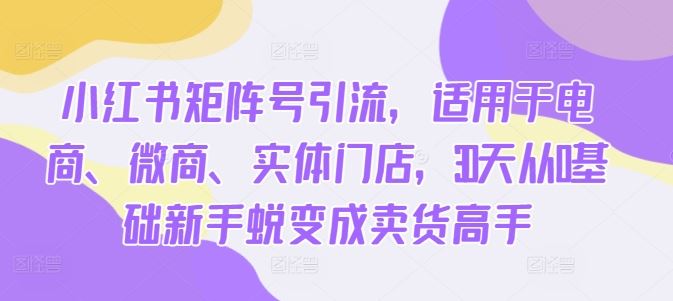 小红书矩阵号引流，适用于电商、微商、实体门店，30天从0基础新手蜕变成卖货高手 - 严选资源大全 - 严选资源大全
