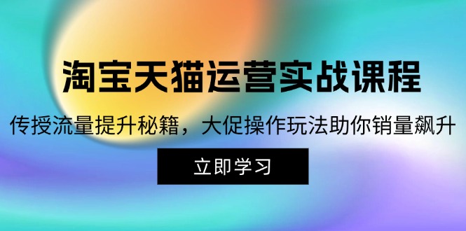 （12959期）淘宝&天猫运营实战课程，传授流量提升秘籍，大促操作玩法助你销量飙升 - 严选资源大全 - 严选资源大全