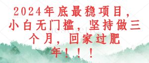 (12970期)2024年底最稳项目,小白无门槛,坚持做三个月,回家过肥年!!! - 严选资源大全 - 严选资源大全