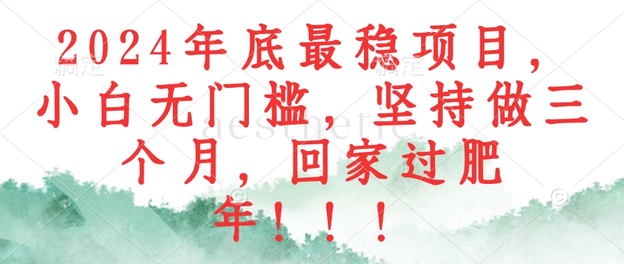 （12970期）2024年底最稳项目，小白无门槛，坚持做三个月，回家过肥年！！！ - 严选资源大全 - 严选资源大全