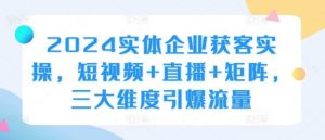 2024实体企业获客实操,短视频+直播+矩阵,三大维度引爆流量 - 严选资源大全 - 严选资源大全