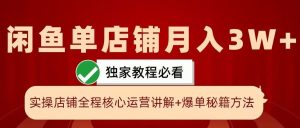 闲鱼单店铺月入3W+实操展示,爆单核心秘籍,一学就会【揭秘】 - 严选资源大全 - 严选资源大全
