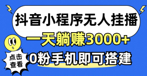 (12988期)抖音小程序无人直播,一天躺赚3000+,0粉手机可搭建,不违规不限流,小… - 严选资源大全 - 严选资源大全