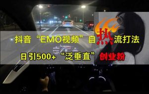 抖音EMO视频自热打法,日引500+“泛垂直”创业粉 - 严选资源大全 - 严选资源大全