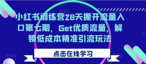 小红书训练营28天撕开流量入口第七期,Get优质流量,解锁低成本精准引流玩法 - 严选资源大全 - 严选资源大全