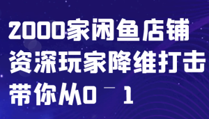 闲鱼已经饱和?纯扯淡!2000家闲鱼店铺资深玩家降维打击带你从0–1 - 严选资源大全 - 严选资源大全