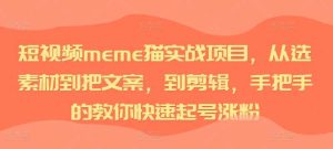 短视频meme猫实战项目,从选素材到把文案,到剪辑,手把手的教你快速起号涨粉 - 严选资源大全 - 严选资源大全