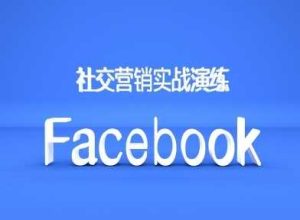 Facebook社交营销实战演练,外贸人绝对不能错过的营销推广平台 - 严选资源大全 - 严选资源大全