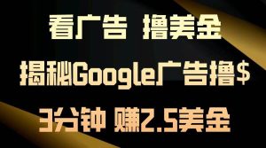 (13114期)看广告,撸美金!3分钟赚2.5美金!日入200美金不是梦!揭秘Google广告… - 严选资源大全 - 严选资源大全