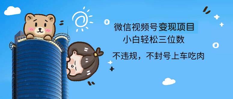 （13115期）2024最新微信视频号变现项目，小白轻松月入四位数 - 严选资源大全 - 严选资源大全