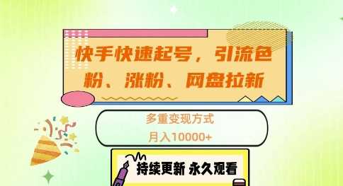快手快速起号，引流s粉、涨粉、网盘拉新多重变现方式，月入1w【揭秘】 - 严选资源大全 - 严选资源大全