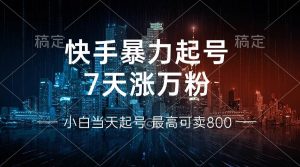 (13142期)快手暴力起号,7天涨万粉,小白当天起号 多种变现方式,账号回收,单月… - 严选资源大全 - 严选资源大全