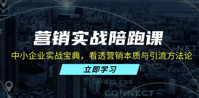 （13146期）营销实战陪跑课：中小企业实战宝典，看透营销本质与引流方法论 - 严选资源大全 - 严选资源大全