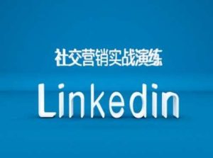 社交营销实战演练之Linkedin营销课程,B2B跨境外贸的新出路 - 严选资源大全 - 严选资源大全