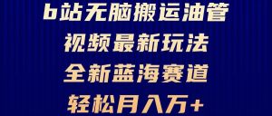(13155期)B站无脑搬运油管视频最新玩法,轻松月入过万,小白轻松上手,全新蓝海赛道 - 严选资源大全 - 严选资源大全