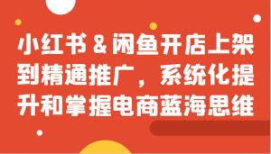 小红书&闲鱼开店上架到精通推广,系统化提升和掌握电商蓝海思维 - 严选资源大全 - 严选资源大全