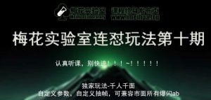 梅花实验室社群专享课视频号连怼玩法第十期课程+第二部分-FF助手全新高自由万能爆闪AB处理 - 严选资源大全 - 严选资源大全