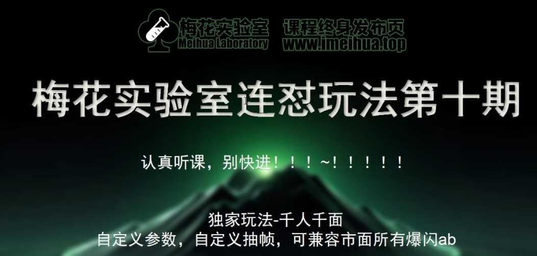 梅花实验室社群专享课视频号连怼玩法第十期课程+第二部分-FF助手全新高自由万能爆闪AB处理 - 严选资源大全 - 严选资源大全