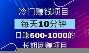 冷门好的网赚项目(网络冷门项目) - 严选资源大全 - 严选资源大全