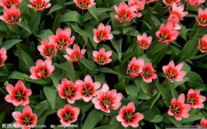 在家网赚好项目(在家网上赚钱有哪些) - 严选资源大全 - 严选资源大全