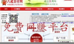 日付网赚好项目(日付网上兼职) - 严选资源大全 - 严选资源大全