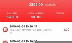 有什么网赚好项目吗(有什么网络赚钱) - 严选资源大全 - 严选资源大全