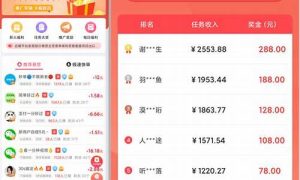 服务好的网赚赚钱项目 - 严选资源大全 - 严选资源大全