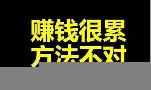 线上有什么好的网赚项目(线上挣钱的渠道) - 严选资源大全 - 严选资源大全
