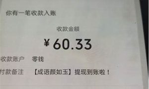 那个网赚项目好 - 严选资源大全 - 严选资源大全