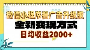 (13186期)微信小程序撸广告升级版,全新变现方式,日均收益2000+ - 严选资源大全 - 严选资源大全
