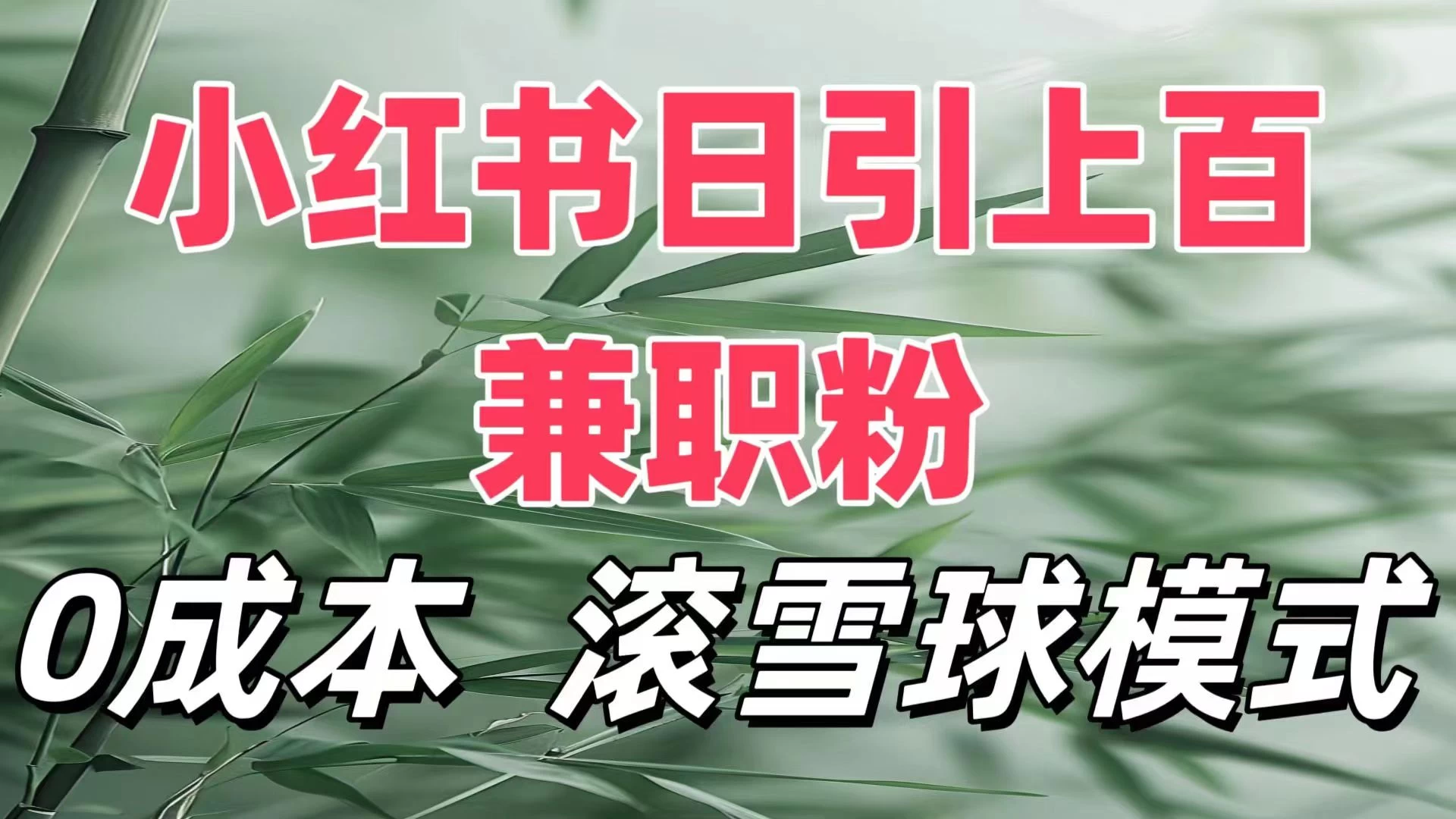 最新小红书引流自热，轻松日引上百精准宝妈创业粉，滚雪球模式，门槛低的新规则玩法 - 严选资源大全 - 严选资源大全